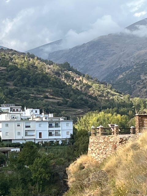 From Nerja/Almunecar: Sierra Nevada and Alpujarra day trip - Who Will Love This Tour?