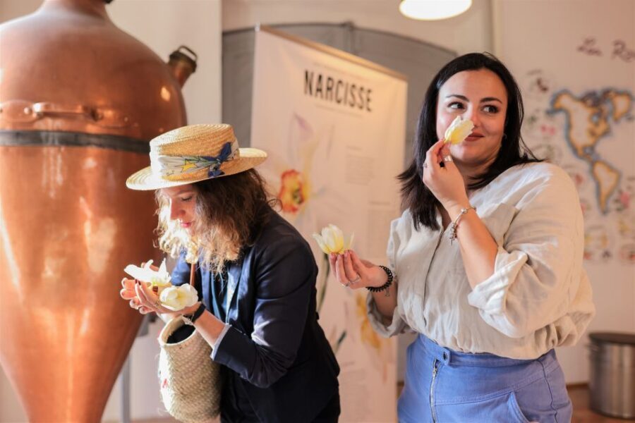 From Nice: Afternoon tour Grasse and Saint-Paul-de-Vence - Analyzing the Value and Practicalities