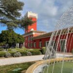 From Nice: Half-Day Wine Tour in the Bellet Wine Region - What Makes This Tour Stand Out