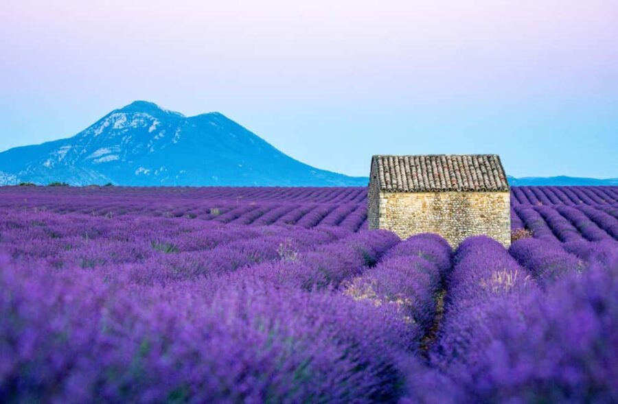From Nice: Verdon Gorges & Lavender Fields Tour & Transport - What’s Included & Why It Matters