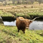 From Oban Glencoe and Castles Tour - Practical Details: What You Need to Know