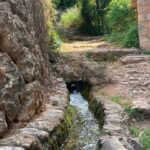 From Palma: Soller valley walk and picnic in orange farm - The Sum Up: Is This Tour Worth It?