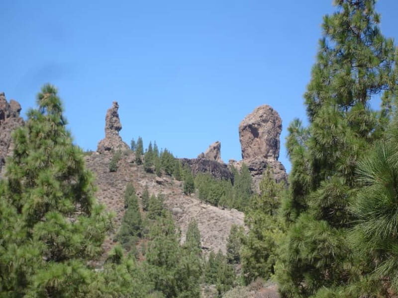 From Palmas: Pico de las Nieves & Roque Nublo Full-Day Trip - A Deep Dive into the Itinerary and Experience