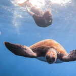 FROM PAPHOS: Snorkeling at the Marine Park (shore) - The Value of Guided Snorkeling in Marine Park