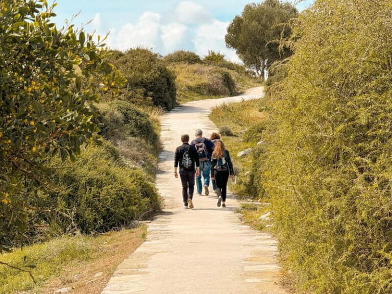 From Paphos: Trip to Limassol with Kourion & Kolossi Castle - The Value of This Tour