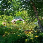 From Paris Excursion to Monet's Gardens - Giverny in minivan - What Makes This Tour Stand Out