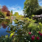 From Paris : Giverny & Orsay Museum - Private Tour - An In-Depth Look at the Tour Experience