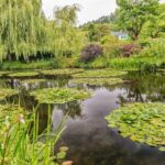 From Paris: Guided Day Trip to Monet's Garden in Giverny - Analyzing the Value