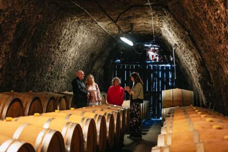 From Paris: Loire Valley Chambord Castle and Wine Tasting - Practical Details and What You Should Know