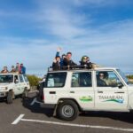 From Playa de las América: Half-Day Jeep Safari Tour - Authentic Insights from Travellers