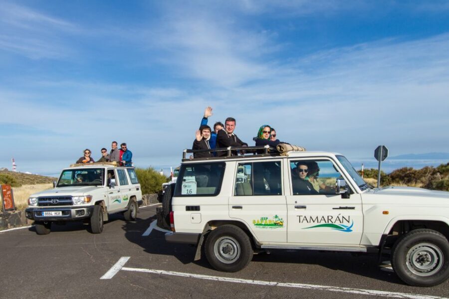 From Playa de las América: Half-Day Jeep Safari Tour - Authentic Insights from Travellers
