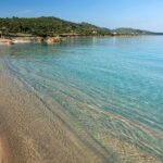 From Porticcio: Speedboat Tour to Cupabia Beach with Stops - The Value of this Experience