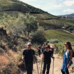 From Porto a private experience to Niepoort with lunch there - Behind the Scenes at the Winery