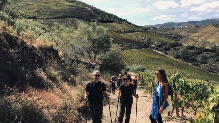 From Porto a private experience to Niepoort with lunch there - Behind the Scenes at the Winery