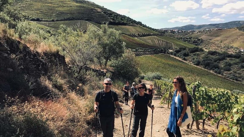 From Porto a private experience to Niepoort with lunch there - Behind the Scenes at the Winery