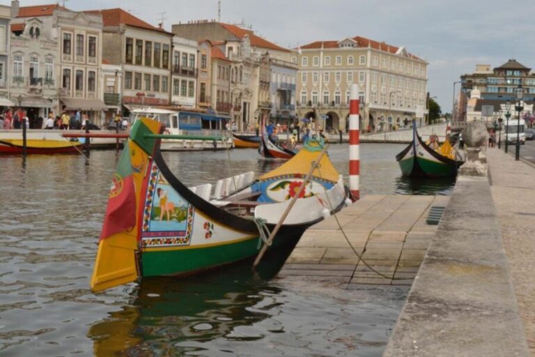 From Porto: Aveiro Half-Day Tour with 1-Hour Cruise - Walking Tour of Aveiro’s Architectural Charm