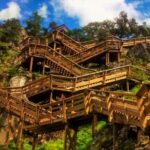 From Porto: Aveiro, Paiva Walkways, & Suspension Bridge Tour - Scenic Walks and Nature