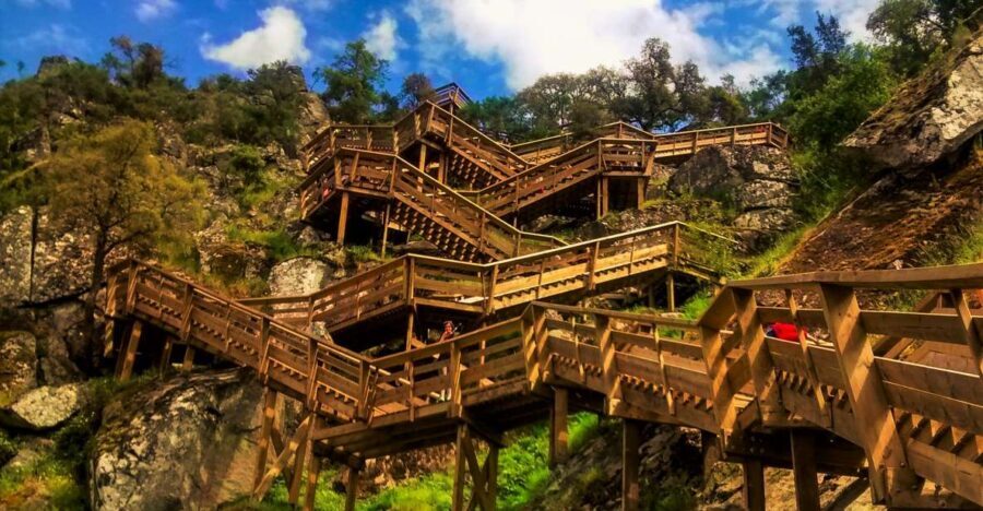 From Porto: Aveiro, Paiva Walkways, & Suspension Bridge Tour - Scenic Walks and Nature