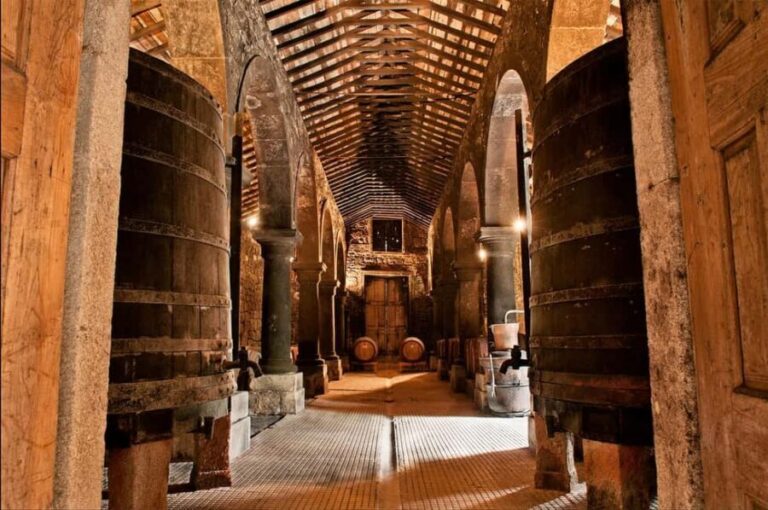 From Porto: Brejoeira Palace Visit, Tasting, and Lunch - The Brejoeira Palace Experience