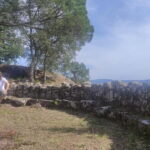 From Porto: Castros Celtic Ruins Private Day Tour - Practical Details and Value