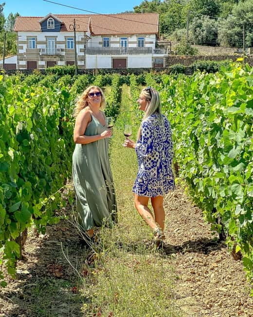 From Porto: Douro Valley Private Tour w/ 3 Wineries & Lunch - A Deep Dive into the Douro Valley Private Tour Experience