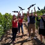 From Porto: Douro Valley Tour with Tastings, Boat & Lunch - What to Expect from the Itinerary