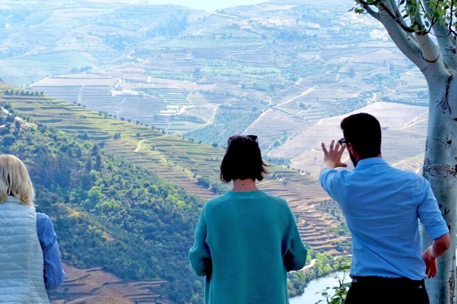 From Porto: Douro Valley Wine Tour with River Cruise & Lunch - Why This Tour Works