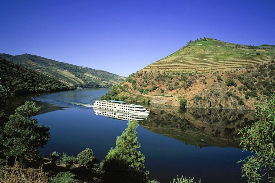 From Porto: Full-Day Douro Historical Tour - Practical Tips for Travelers