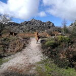 From Porto: Hike & Swim in Gerês National Park - Practical Details and Tips