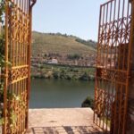 From Porto: luxury tour with full lunch at Quinta da Pacheca - Who Is This Tour Best For?