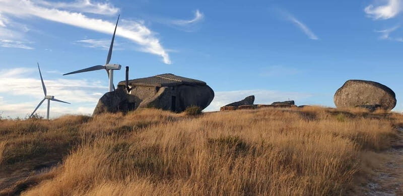 From Porto: Nature and Wine tasting Full-Day Tour - The Value of This Tour