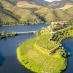 From Porto: Private Douro Valley Tour with Booking Service - Wine Estate Visits and Tastings