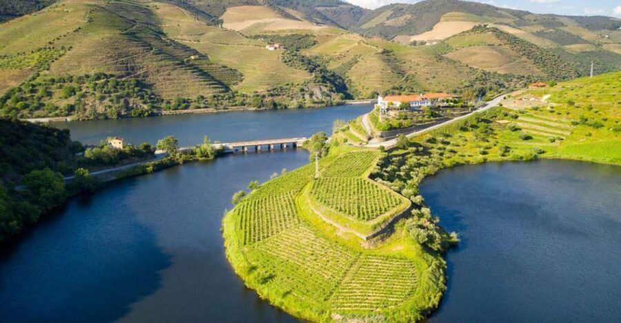 From Porto: Private Douro Valley Tour with Booking Service - Wine Estate Visits and Tastings
