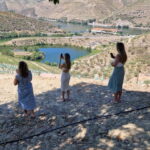 From Porto Private Wine Tour with 2 Tastings, Boat and Lunch - An In-Depth Review of the Douro Valley Private Tour