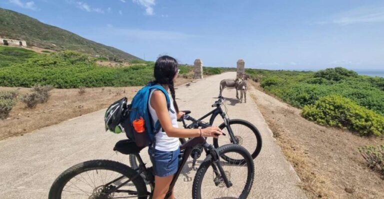 From Porto Torres: E-Bike Rental - What to Expect on the Day