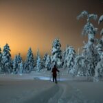 From Prague: Guided Snowshoe Tour with Mountain Views - The Value and Practicalities