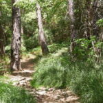 From Protaras: Full-Day Grand tour Jeep Safari with Lunch - The Overall Experience: What Travelers Say