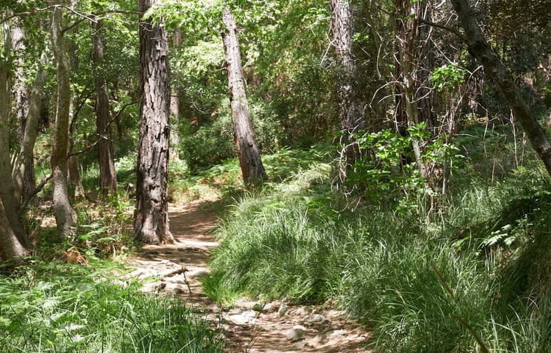 From Protaras: Full-Day Grand tour Jeep Safari with Lunch - The Overall Experience: What Travelers Say