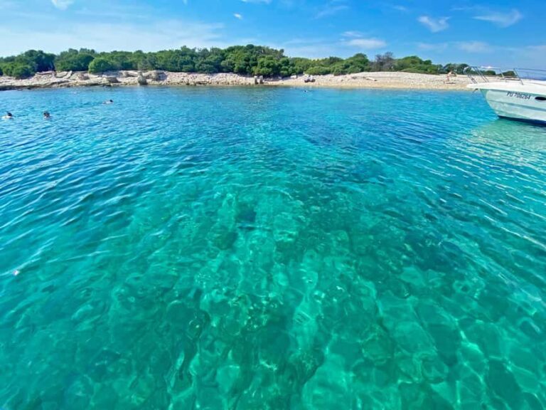 From Pula: Half-day NP Brijuni cruise with Lunch & Swimming - An In-Depth Look at the Brijuni Islands Cruise Experience