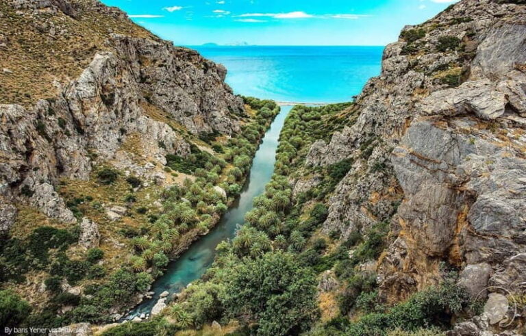 From Rethymno: Preveli Palm Forest, Damnoni and Plakias Tour - Transport, Guides, and Overall Value