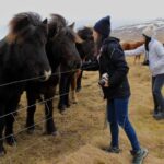From Reykjavik: 6-Day Small Group Tour of Iceland Summer - Practical Details and Considerations