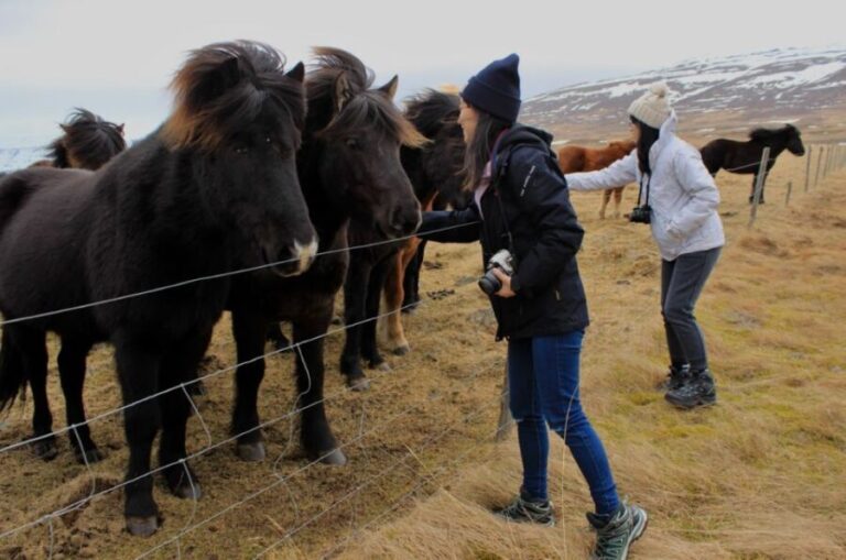 From Reykjavik: 6-Day Small Group Tour of Iceland Summer - Practical Details and Considerations
