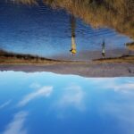 From Reykjavik: Lake and River Fishing Tour - Exploring the Itinerary: What to Expect