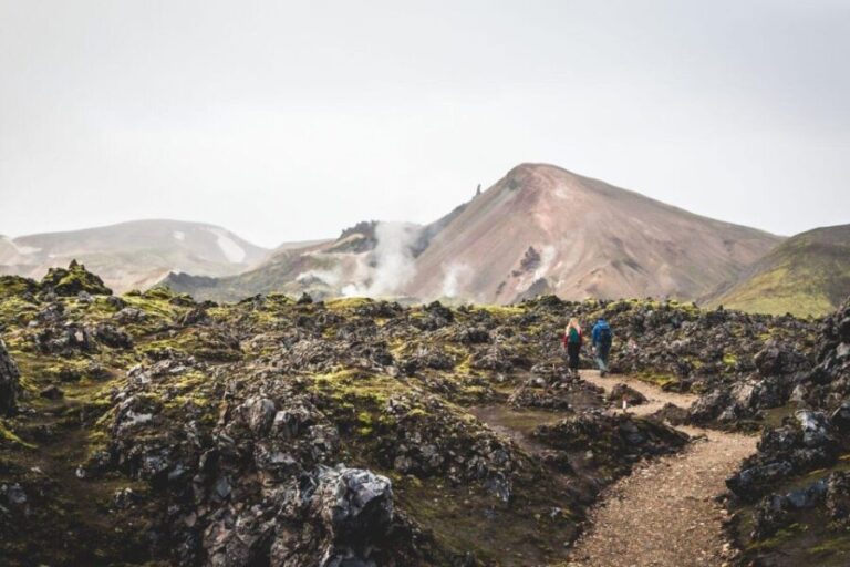 From Reykjavík: Landmannalaugar Day Hike - Who Will Love This Tour?