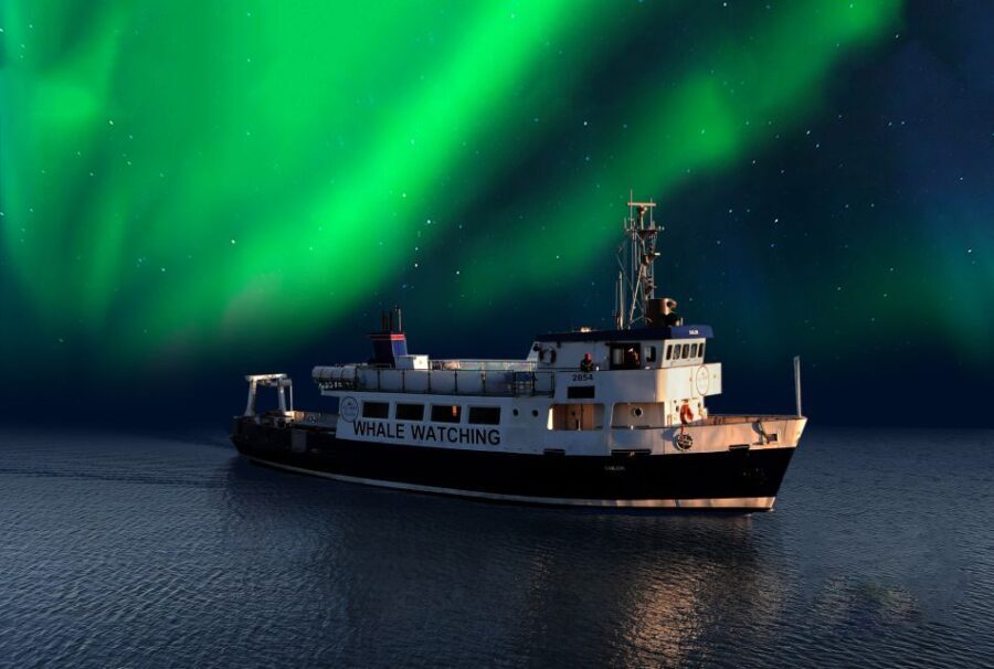 From Reykjavik: Northern Lights Sightseeing Cruise - The Value of This Experience