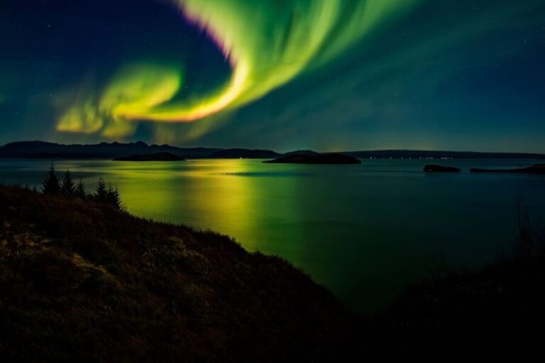From Reykjavik: Northern Lights Tour - Practical Tips & Considerations