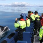 From Reykjavik: Whale Watching Tour by Speedboat - Itinerary Breakdown