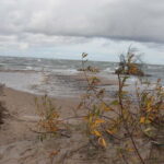 From Riga: Budget Day Trip to Kolka in Zen style! - Discovering Cape Kolka and Its Unique Landscape