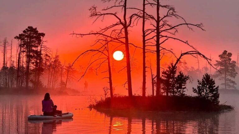 From Riga: Sunrise SUP Tour with Pick-Up at Cenas Trelis - Practical Tips for Your Sunrise SUP Tour