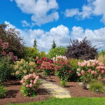 From Riga: Vidzeme Coast Half-Day Trip with Lunch - Practical Details and What to Expect